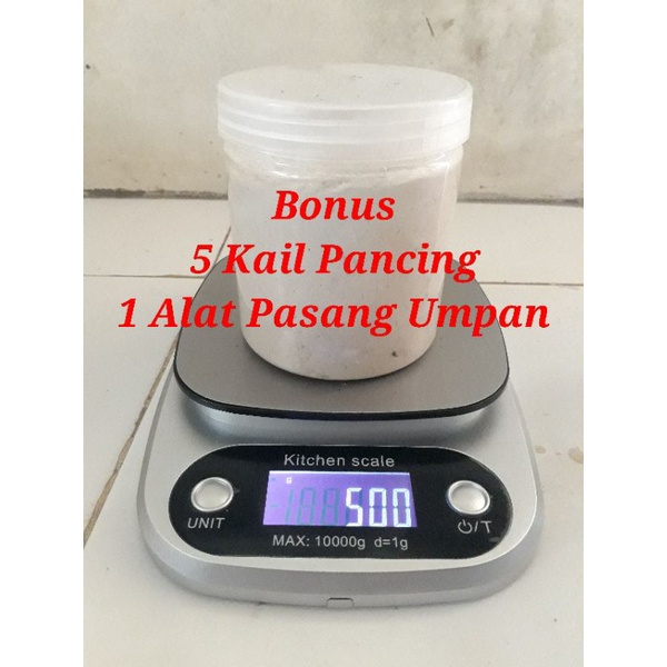 Kucur Jitu - Umpan Spesial Ikan BAUNG || Gratis Kail & Alat Pasang Umpan
