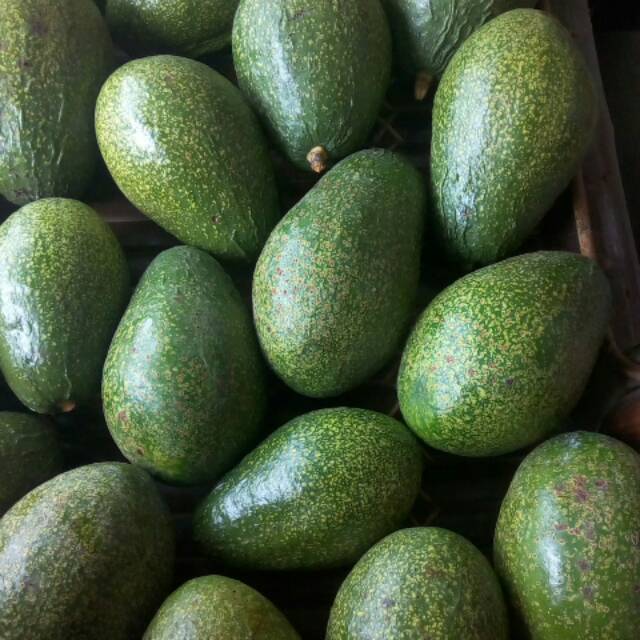 

Alpukat mentega super