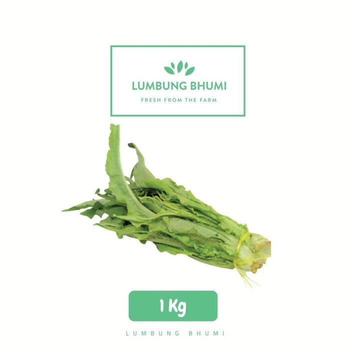 

Lumbung Bhumi - Siomak 1 Kg ( Sayur Curah )