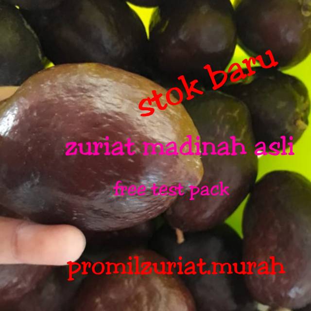 

Buah zuriat madinah asli termurah 500 gr promil