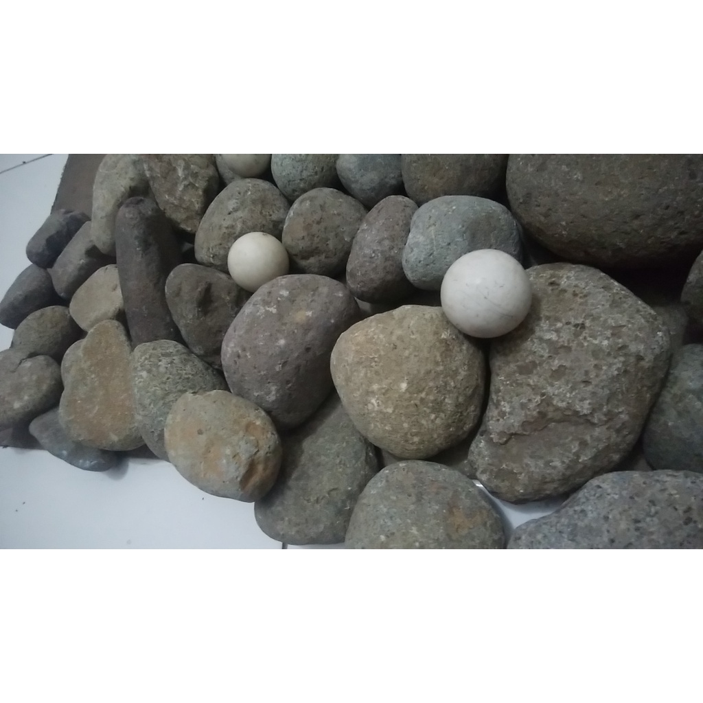 Jual River Stone Batu Kali Bulat Kecil Aquascape Terrarium