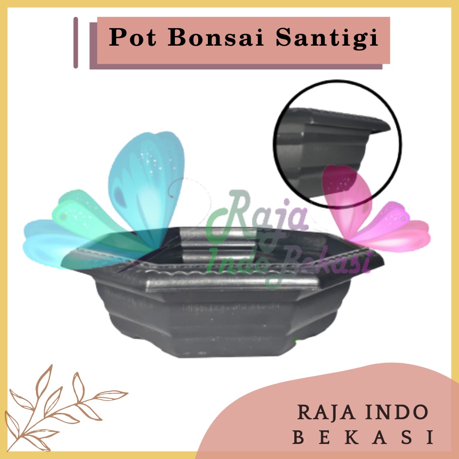 Pot Bonsai Santigi 30 Hitam Bonsai Segi 8 By Garden Of Love Pot Bonsai Kelapa Kotak Ceper Besar Mame