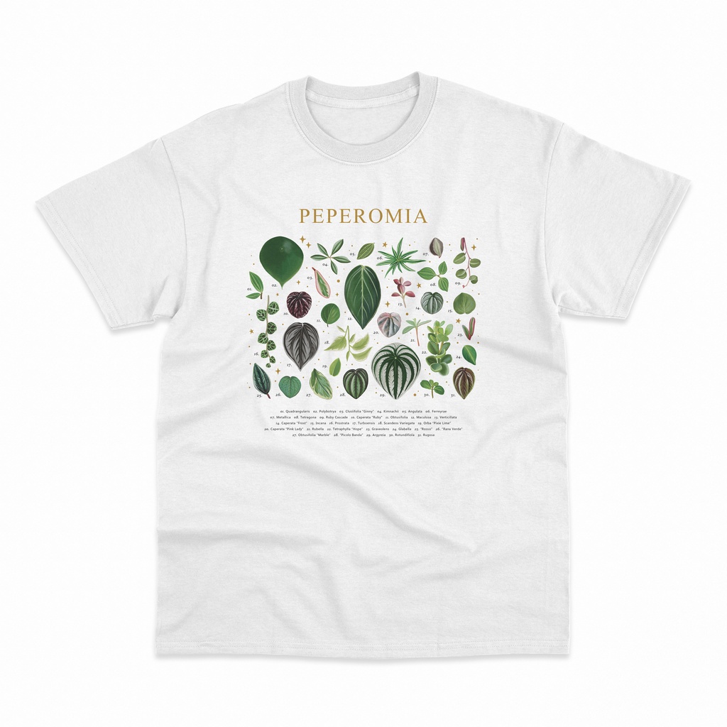 Kaos Peperomia Spesies Aroid Philodendron Anthurium Alocasia Plant Lover