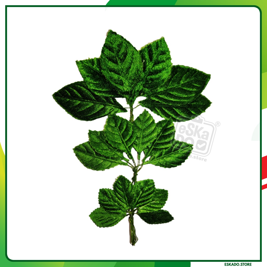 Daun palsu prakarya/daun bludru