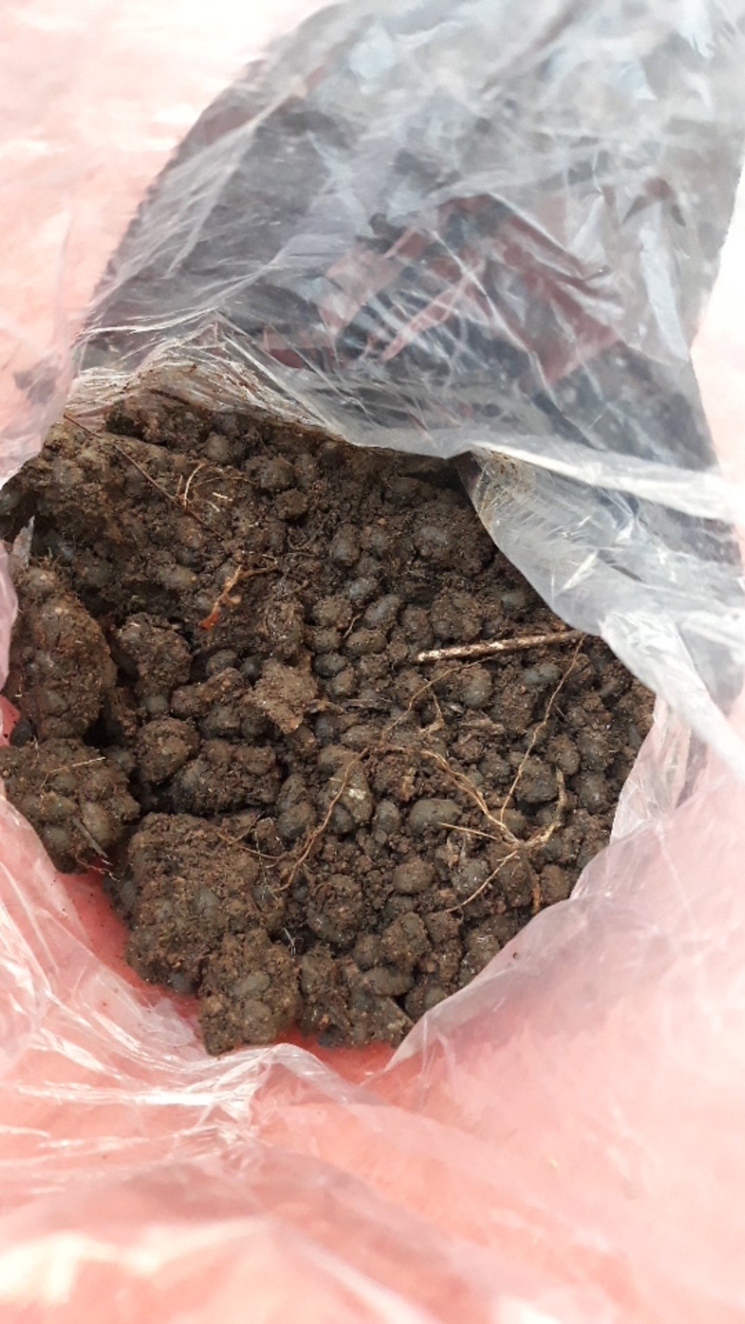 Pupuk Organik Kotoran Kambing Kering