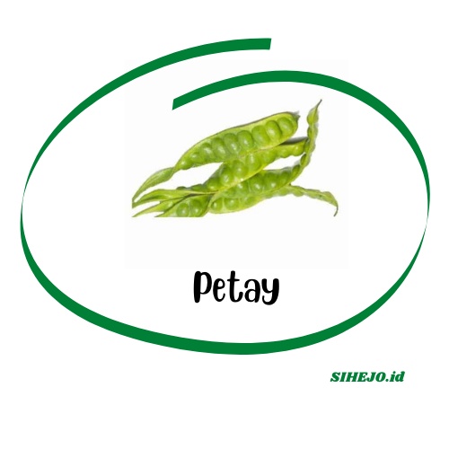 

Petay Segar