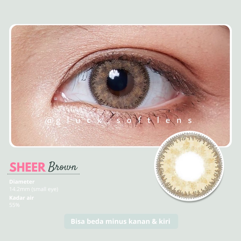 GLUCK SOFTLENS MINI SHEER BROWN KITTY KAWAII | SOFTLENS NORMAL MINUS
