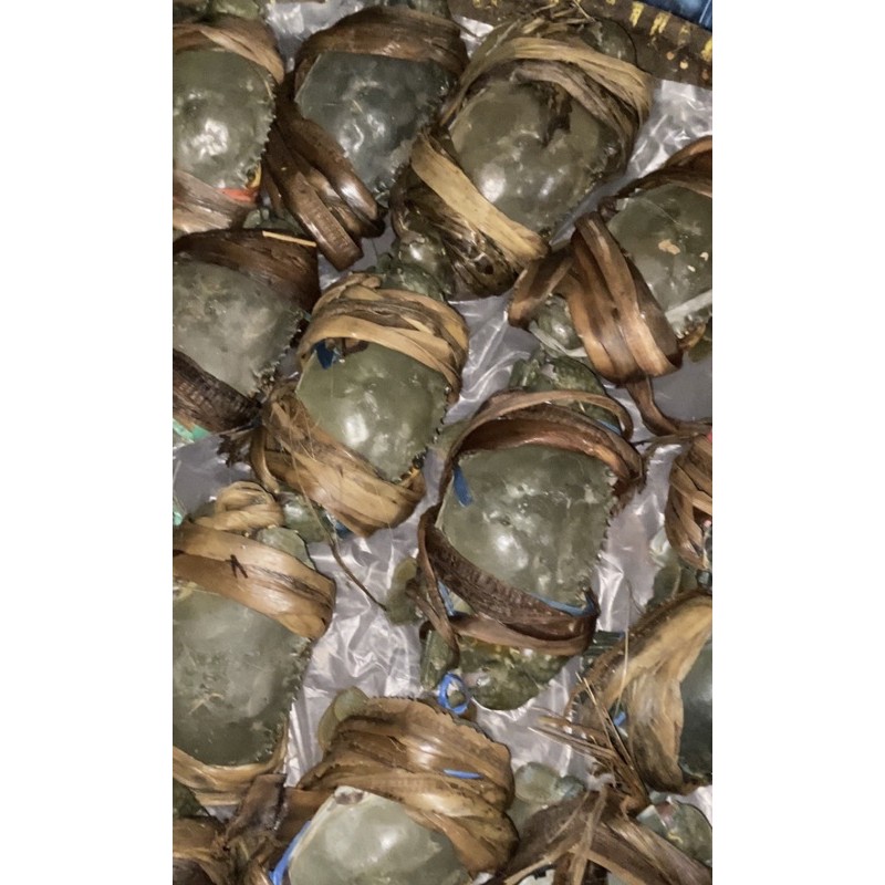 

kepiting rawa hidup size besar (2-3 ekor) 1kg