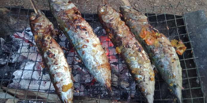 Paket Holder Dan Botol Minum Sepeda Berkualitas Ringan Dan Kuat