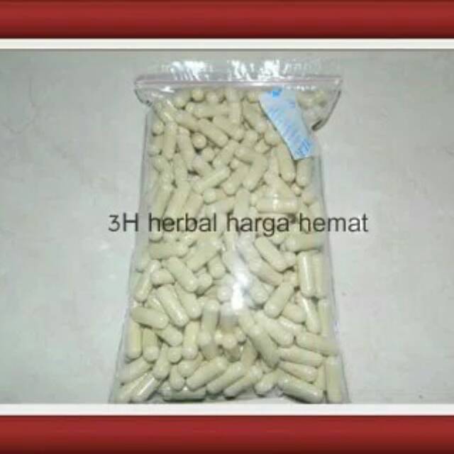 Curah Kapsul Pasak-Bumi Isi 1pcs / bungkus = 300 kapsul Obat Jamu Herbal Kuat Pria Tongkat Ali