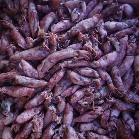 

Cumi asin /cumi asin termurah dan fress tidak tengik
