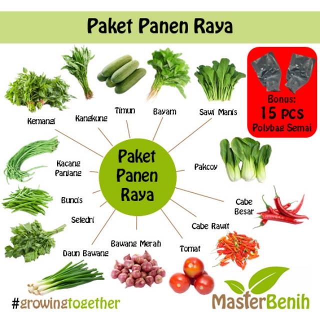 Paket Hemat Benih Sayuran/ Bayam/Buncis/Kangkung/Pakcoy/Sawi/Kemangi/Daun Bawang/Seledri
