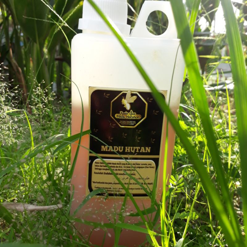 

Madu Hutan Asli dan Murni 100% | Madu Sumatra | Sanad Jelas