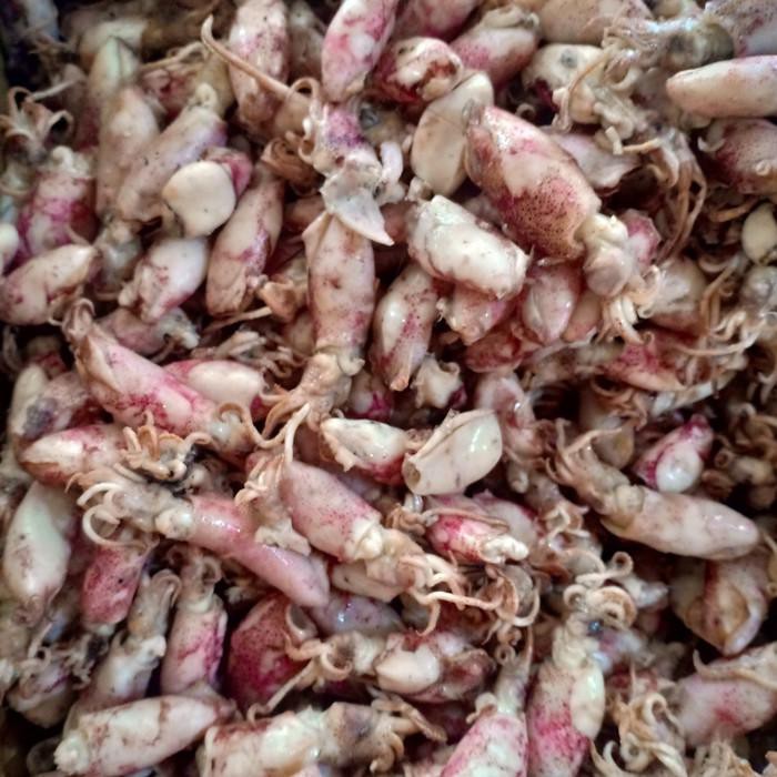 

ikan asin Baby cumi BK per 500gram