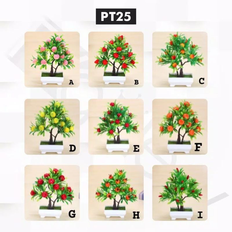 pohon buah plastik cuntik