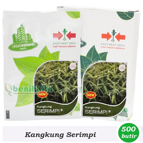 Benih-Bibit Kankung Daun Sempit Serimpi (Cap Panah Merah)