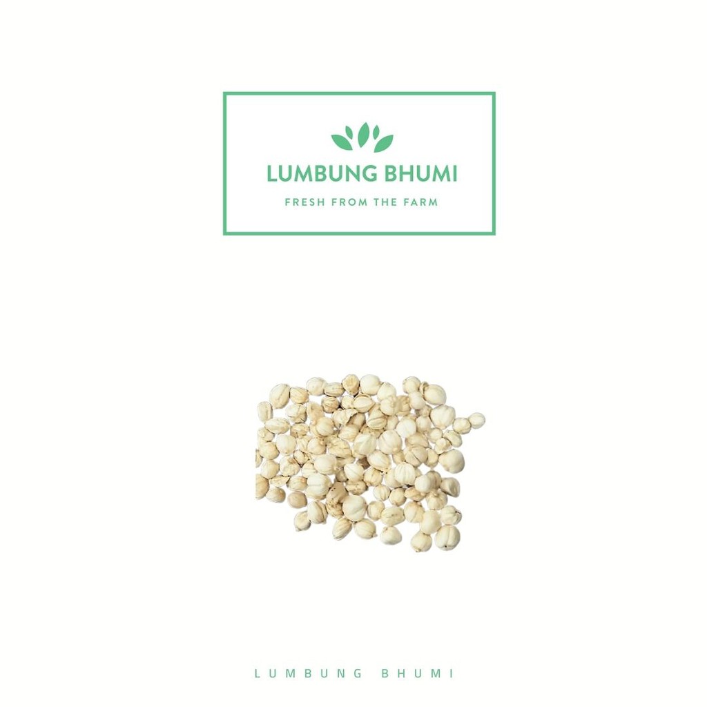 

Lumbung Bhumi - Kapol Kapulaga Putih 250 Gr ( Bumbu Dapur )
