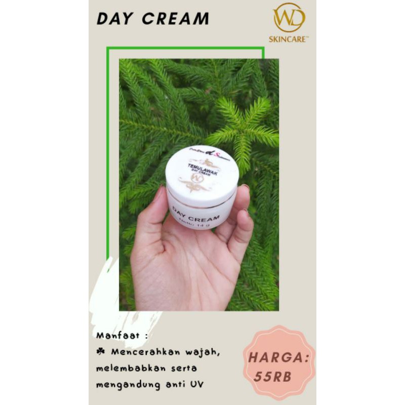 DAY CREM TEMULAWAK DSI
