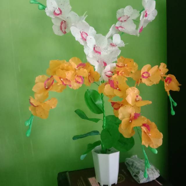 Bunga anggrek lima tangkai