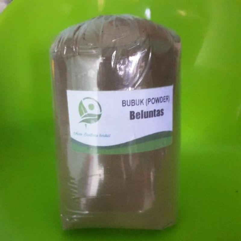 

Bubuk beluntas murni 1 kg