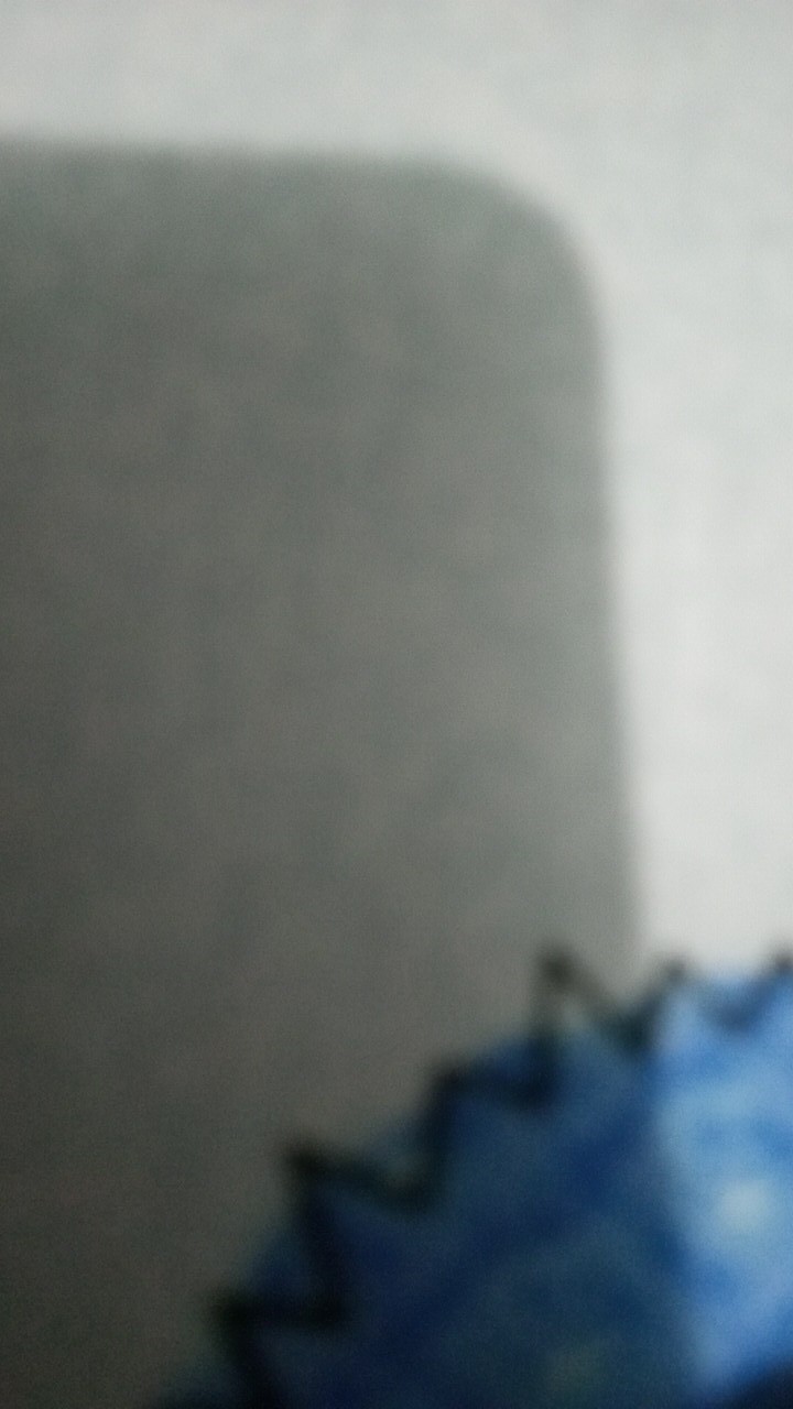 Bibit Tanaman Buah Jeruk Tongheng