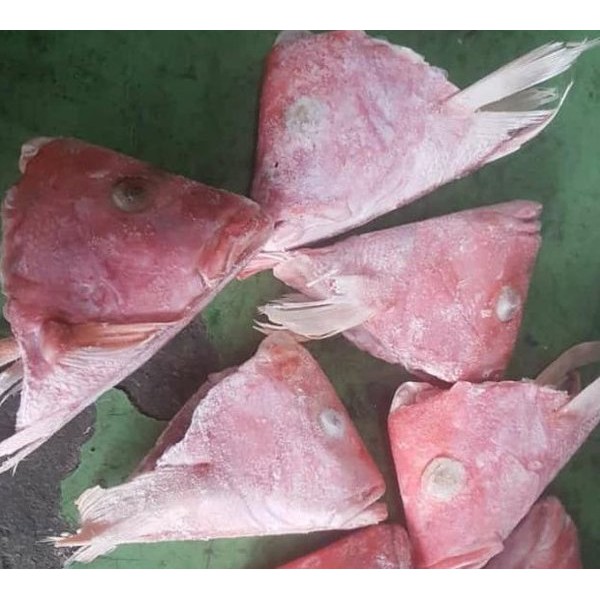 Kepala Ikan Kakap Merah Fresh Segar Air Laut