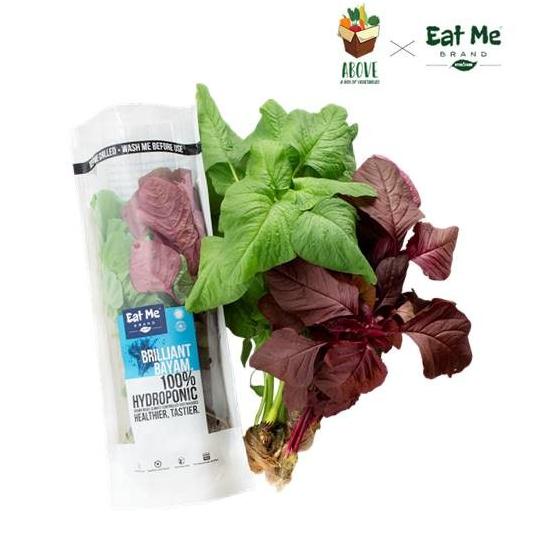 

Mix Bayam Pack Hidroponik- ABOVE x EATME Brand