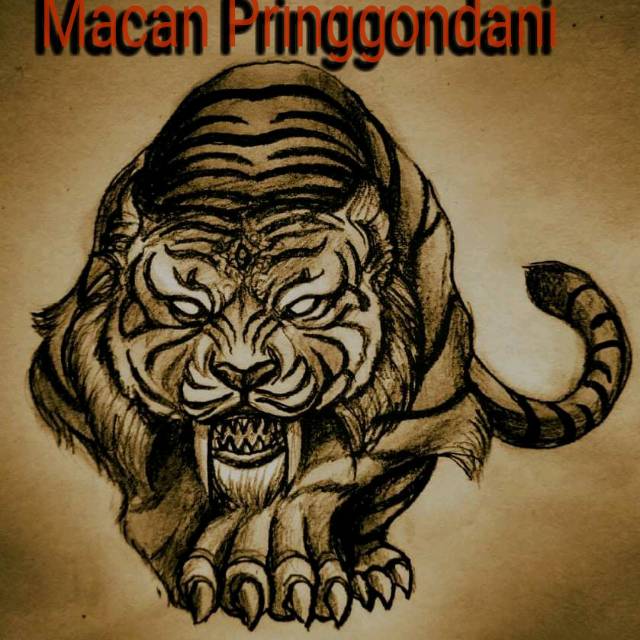 

Aji_Macan_Pringgondani_3