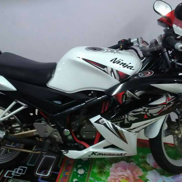 Striping kawasaki ninja rr putih 2013 SE