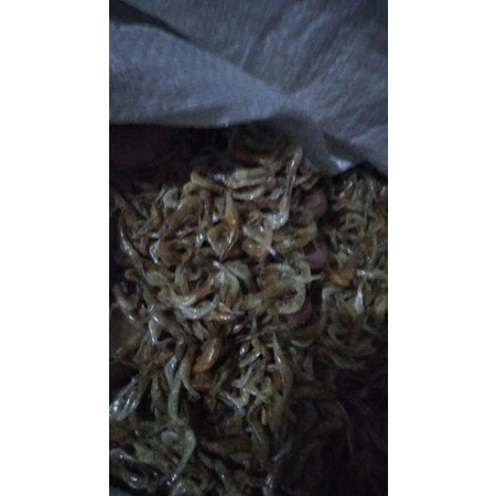 

udang kering