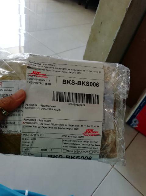 Biji Cabe king Of The North Pepper Seeds