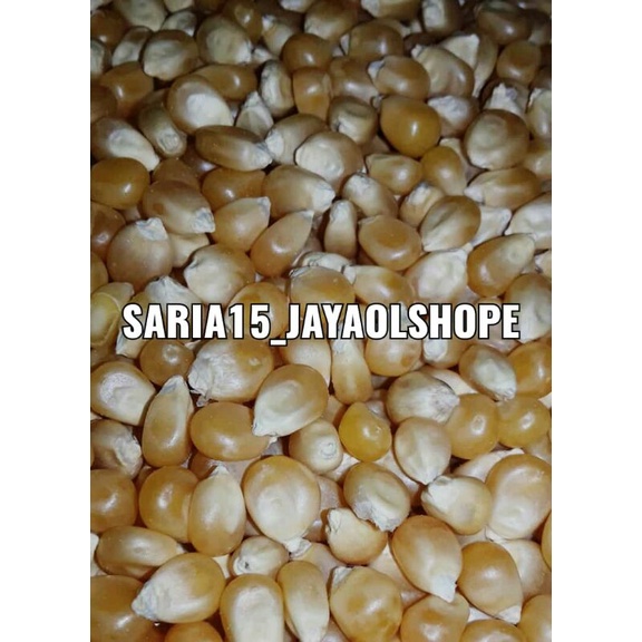 

Jagung popcorn mentah 200gram