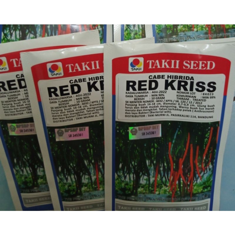 

Cabai kriting Red kriss isi 10gram