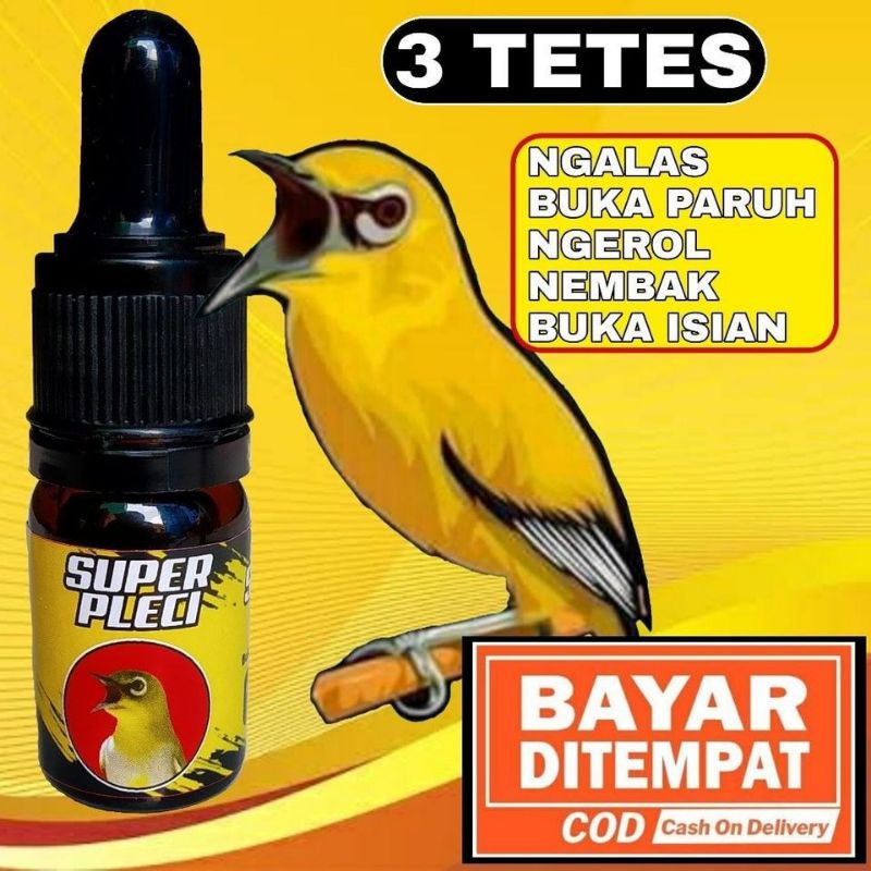 SUPER PLECI Penggacor Pleci Vitamin Burung Pleci Vitamin Pleci