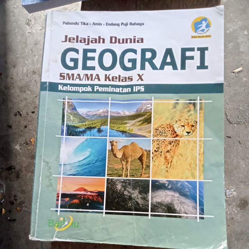 geografi kelas 10 SMA