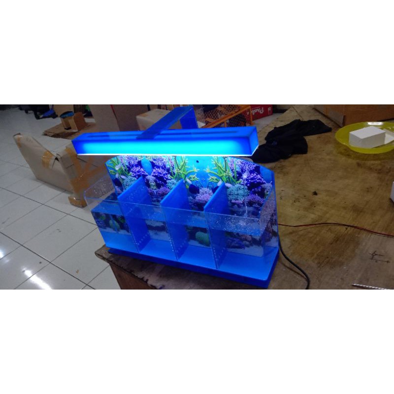 Aquarium cupang 4 skat free mesin air filter,adaptor,selang dan lampu led