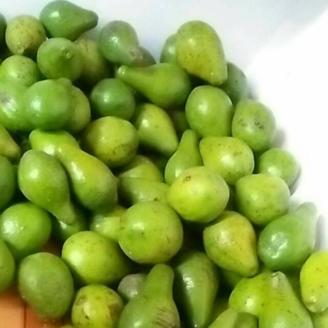 

Alpukat mentega