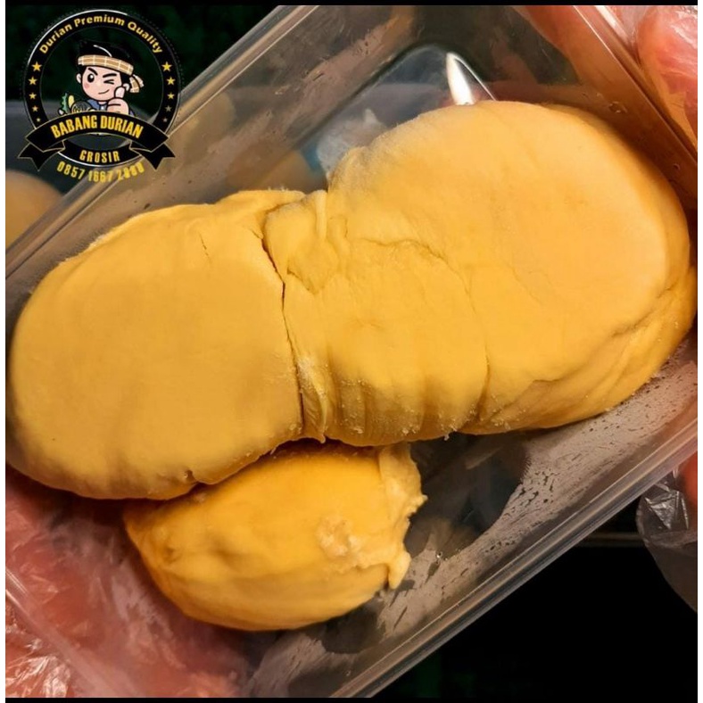 

DURIAN MONTONG PALU KUALITAS TERBAIK FULL MANIS DAN CREAMY BERDAGING TEBAL 500gr/DURIAN MONTONG PALU SUPER PREMIUM/DURIAN MONTONG PARIGI/DURIAN MONTONG KUPAS PALU/DURIAN MONTONG PARIGI PREMIUM