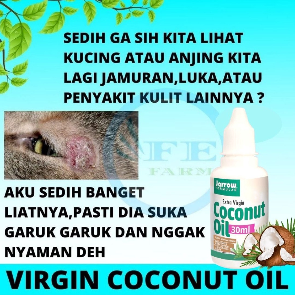 VIRGIN COCONUT OIL 30ml MINYAK KELAPA MURNI VCO MURNI OBAT JAMUR OBAT SCABIES KUCING OBAT BULU HEWAN FEFARM