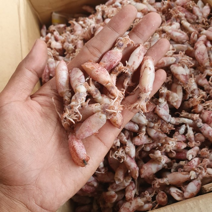 

Q20121Sa Ikan Asin Beby Cumi-1Kg Dw501Sqss