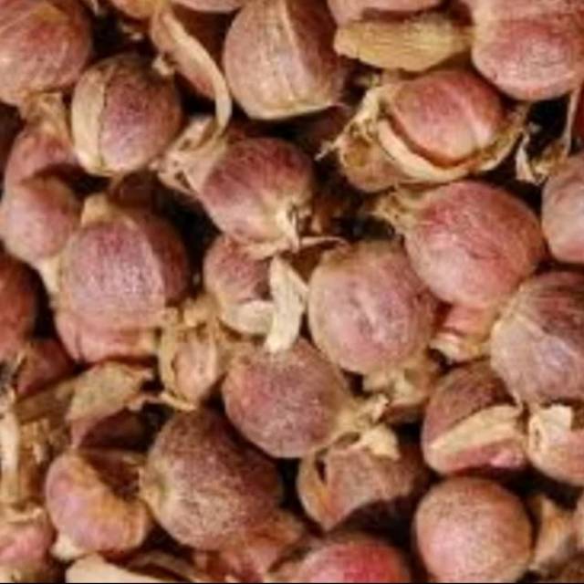 

Kapulaga kering 200 gr