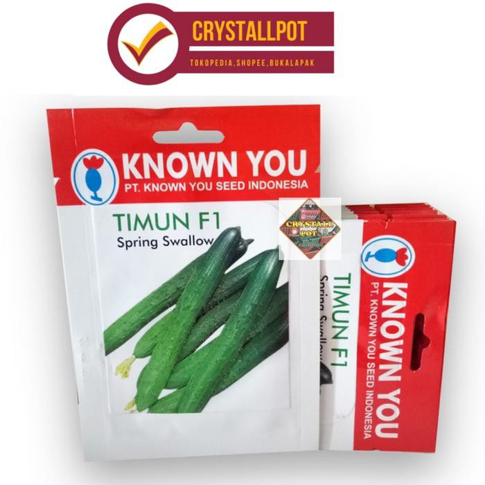 benih bibit timun f1 spring swallow known you seed kys