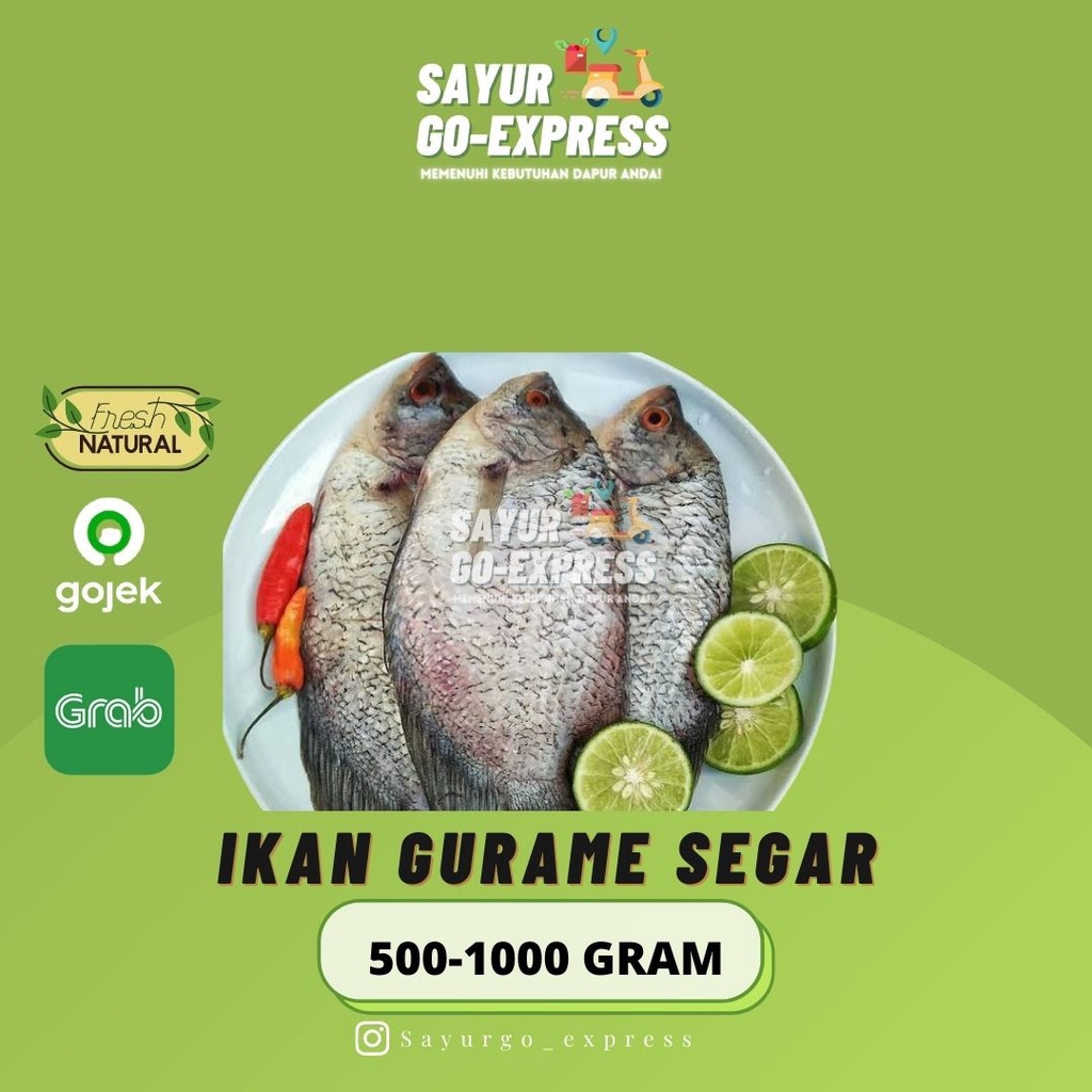 

Ikan Gurame Segar 500 - 1000 gram