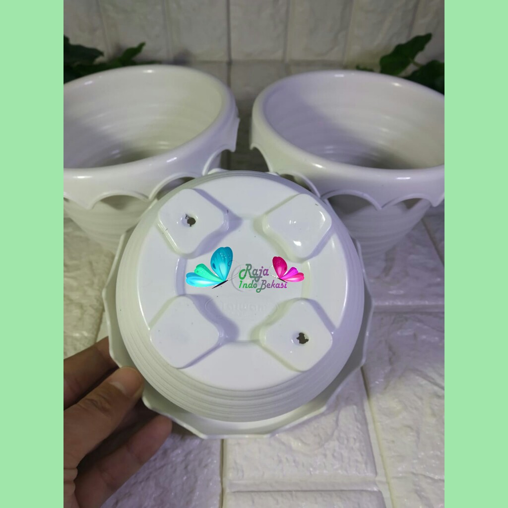 PAKET 3 PCS POT BUNGA TANAMAN TAIWAN BEE 131 PUTIH MIRIP TAWON / PLASTIK / POT KAKTUS