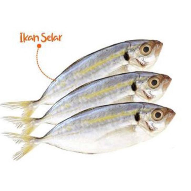 

Ikan selar / 500gr