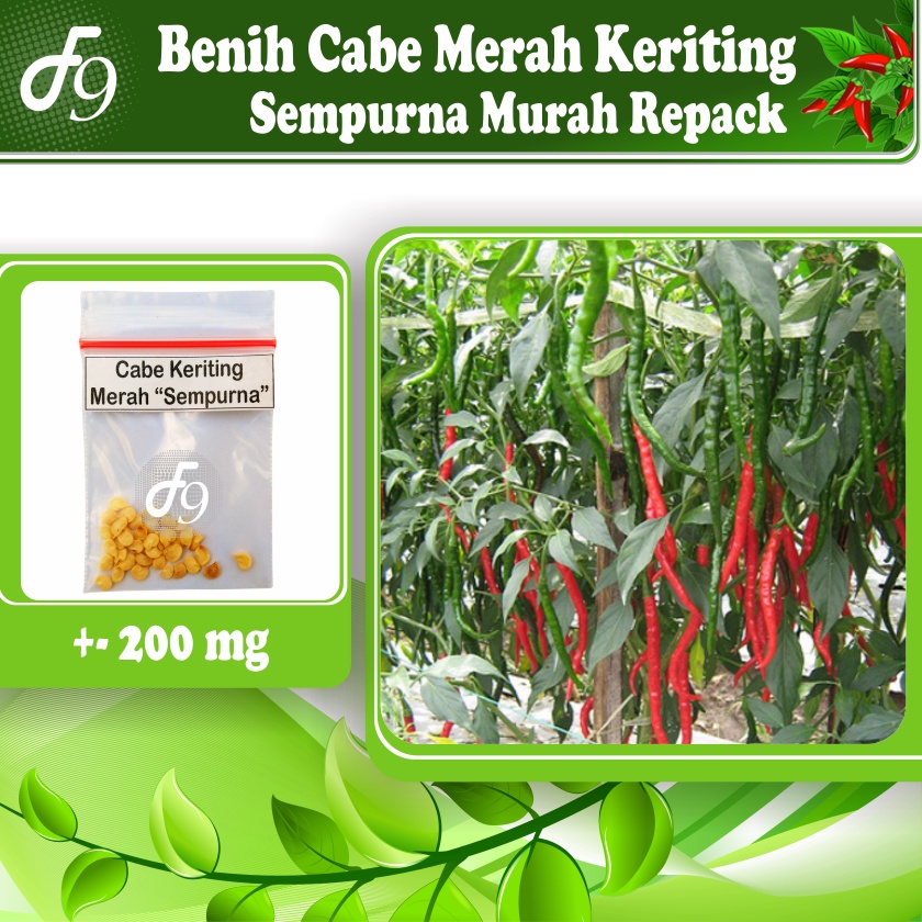 Benih Bibit Cabe Merah Keriting Murah Repack Seribuan