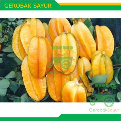 

Belimbing 1 kg