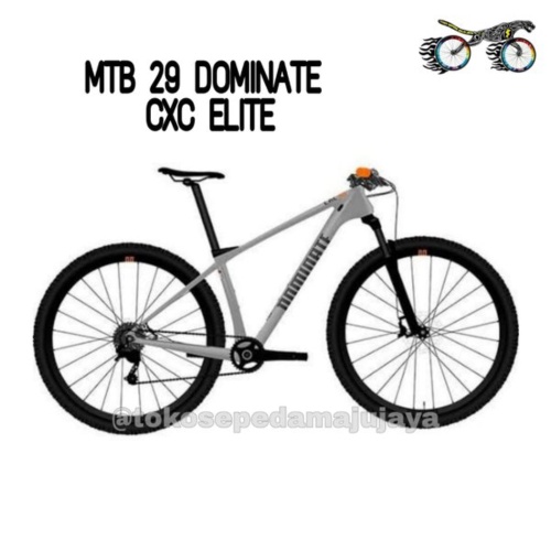 Promo Sepeda MTB Dominate CXC Elite 29 Inch Full Carbon 12 Speed size M 2021 29er Berkualitas