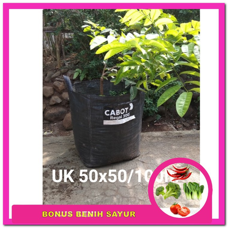 Bonus Benih Sayur Planter Bag Terpal Ukuran 25 X 20 Polibag Pot Tanaman Dan Buah Awet Free Ongkir