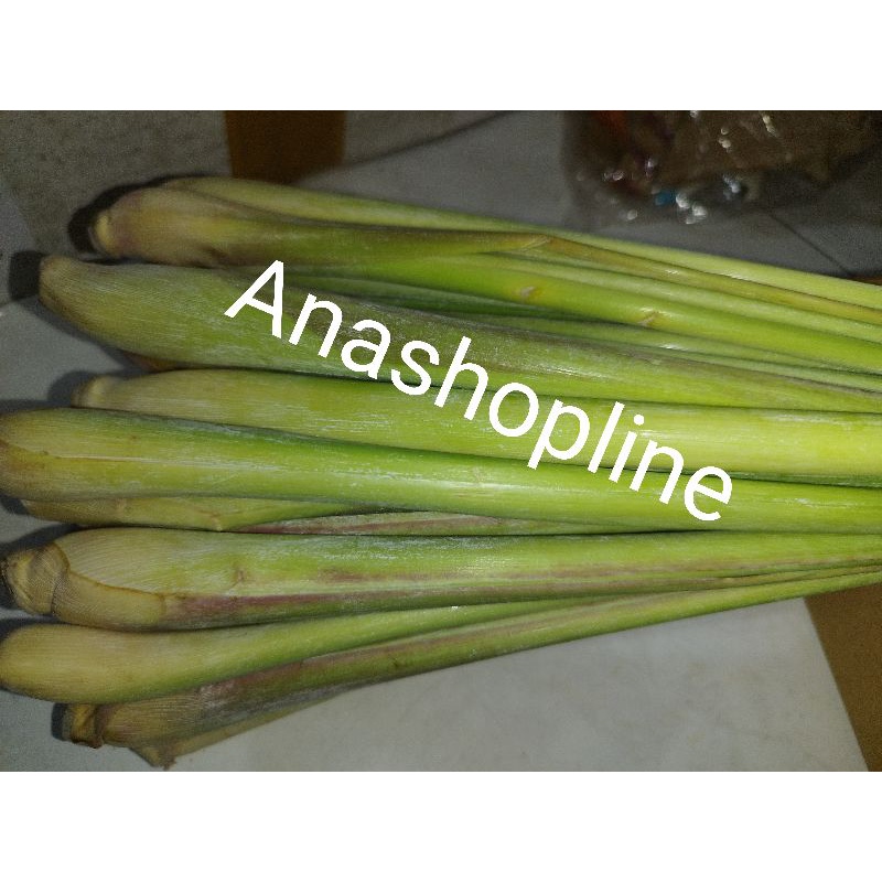 

Sere / Serai rempah / sayur